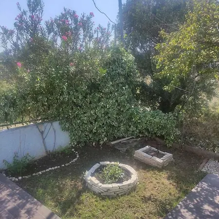 Olive Tree House Villa Sozopoli Exterior photo