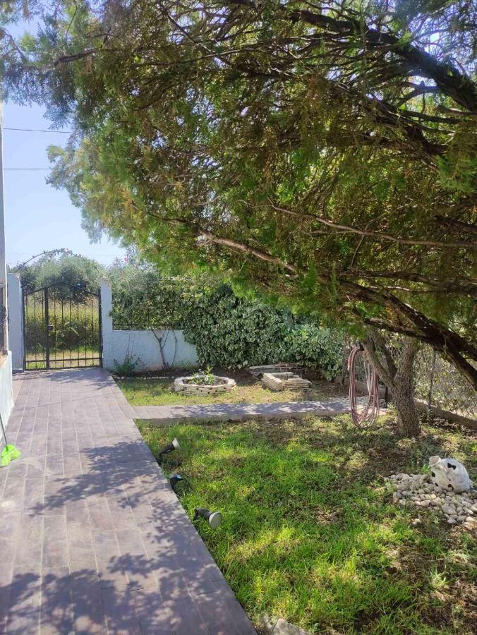 Olive Tree House * Sozopoli
