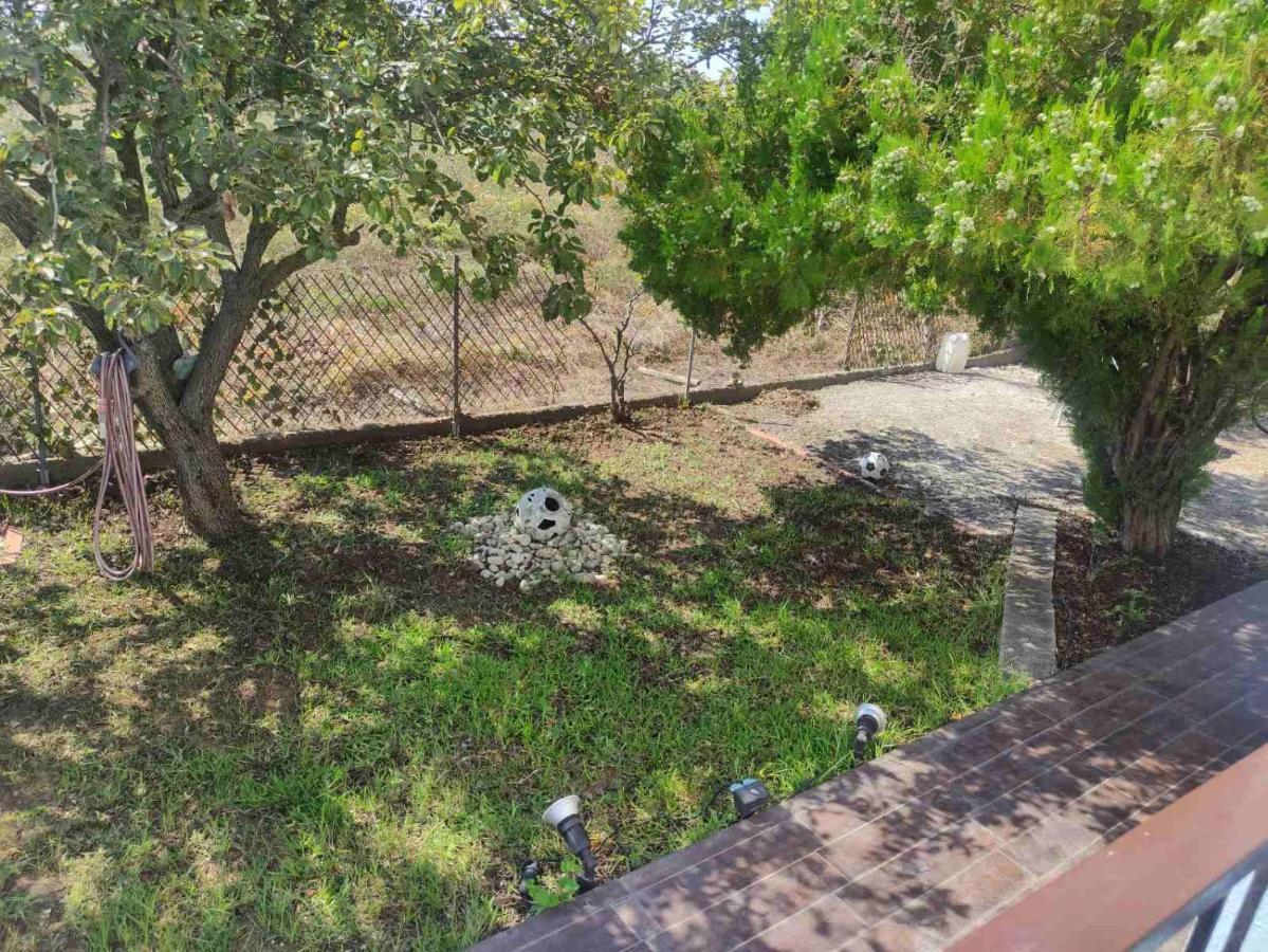 Olive Tree House Sozopoli
