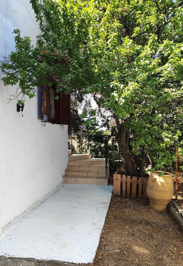 Holiday home Olive Tree House Sozopoli